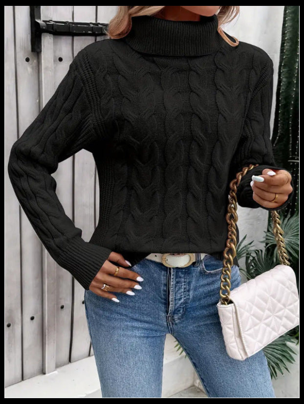 Pull torsadé à col roulé